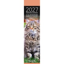Calendrier marque-pages 2027 Pictura - Photo chat