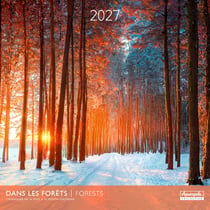 Calendrier 2027 Pictura - Dans les forêts - 30 x 30 cm