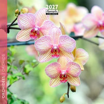 Calendrier 2027 Pictura - Orchidées - 16 x 16 cm