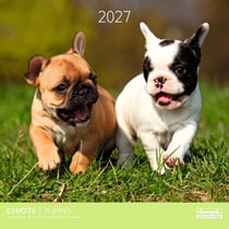 Calendrier 2027 Pictura - Chiots - 30 x 30 cm