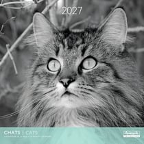 Calendrier 2027 Pictura - Chats N&B - 30 x 30 cm