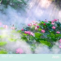 Calendrier 2027 Pictura - Tigres - 30 x 30 cm