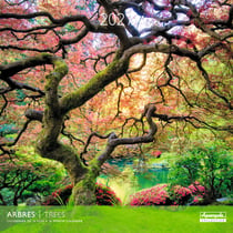 Calendrier 2027 Pictura - Arbres - 30 x 30 cm
