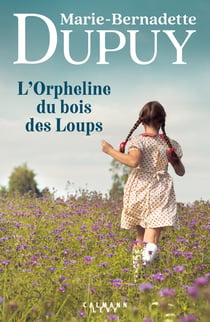 La saga des bories Tome 1 : L'Orpheline du bois des Loups