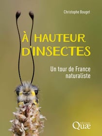 À hauteur d'insectes : Un tour de France naturaliste
