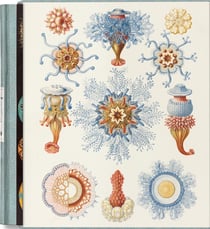 The Art and Science of Ernst Haeckel