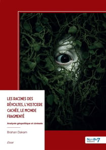 Les Racines des révoltes, l'histoire cachée, le monde fragmenté : Analyste géopolitique et cinéaste