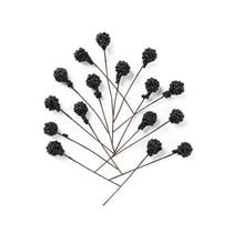 Baies décoratives – Noir
