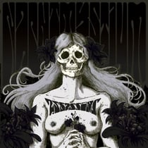 Assassins - Black Meddle Pt. I