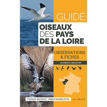 Oiseaux des pays de la Loire : guide poche