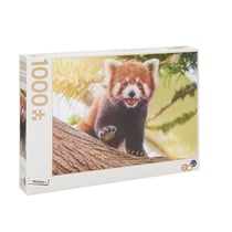 Puzzle 1000 Pièces - Panda roux