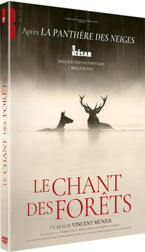 Le Chant des forêts