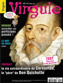VIRGULE n.117