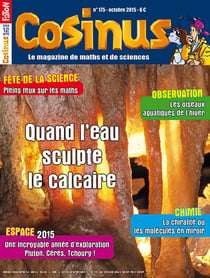 REVUE COSINUS n.175