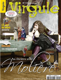VIRGULE n.110