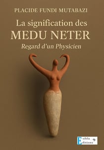 La signification des MEDU NETER : Regard d'un physicien