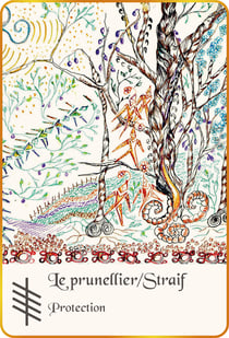 L'Ogham du bois sacré : Cartes Oracle
