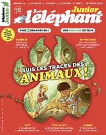 L'éléphant junior n.34