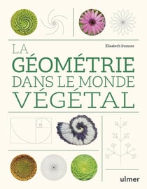 La géometrie dans le monde végétal