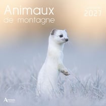 Calendrier Animaux de montagne (édition 2027)
