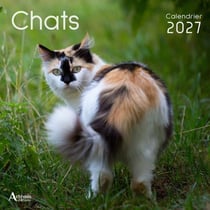 Calendrier chats (édition 2027)