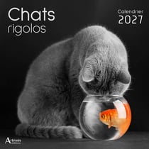 Calendrier chats rigolos (édition 2027)