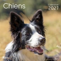 Calendrier Chiens (édition 2027)