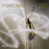 Calendrier Insectes (édition 2027)