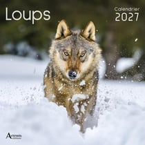 Calendrier Loups (édition 2027)