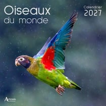 Calendrier Oiseaux du monde (édition 2027)