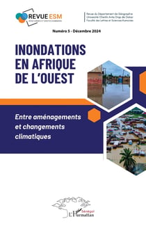 Inondations en Afrique de l'Ouest : Entre aménagements et changements climatiques