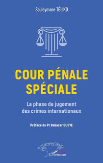 Cour pénale spéciale : La phase de jugement des crimes internationaux