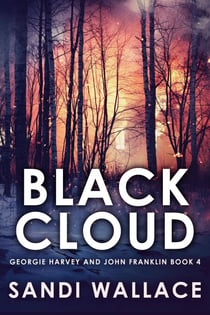 Black Cloud - Georgie Harvey and John Franklin, #4