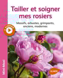 Tailler et soigner mes rosiers - Massifs, arbustes, grimpants, anciens, modernes