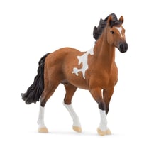 Étalon Mangalarga marchad - Schleich