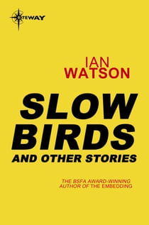 Slow Birds: And Other Stories - And Other Stories