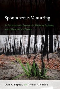 Spontaneous Venturing - An Entrepreneurial Approach to Alleviating Suffering in the Aftermath of a Disaster