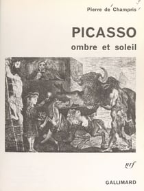 Picasso - Ombre et soleil