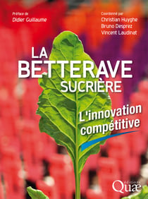 La betterave sucrière - L’innovation compétitive