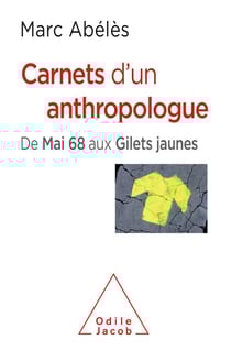 Carnets d'un anthropologue - De Mai 68 aux Gilets jaunes