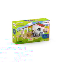 Clinique vétérinaire avec animaux domestiques