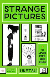 Strange Pictures - A Novel