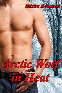 Arctic Wolf in Heat
