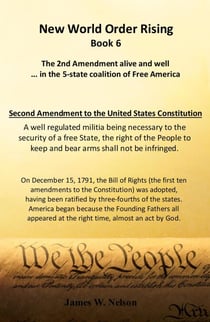New World Order Rising, Book 6 (The 2nd Amendment Alive and Well in the 5-state Coalition of Free America) - New World Order Rising (Book 1) The Abduction, #6