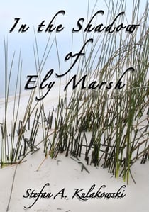 In the Shadow of Ely Marsh