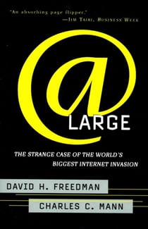 At Large - The Strange Case of the World's Biggest Internet Invasion