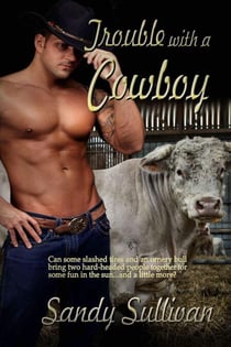 Trouble with a Cowboy