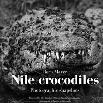 Nile crocodiles - Photographic snapshots