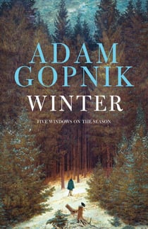 Winter - Five Windows on the Season