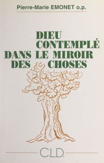 Dieu contemplé dans le miroir des choses - Une philosophie théologique pour les simples
